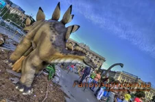 _MG_7050_1_2_tonemapped_resize.webp
