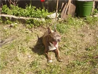 3edf1c0ec0d9.webp