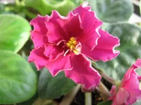 -День победы_8322.webp