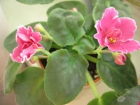 _8327.webp