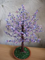 _8353.webp