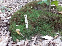IMG-9dc2c7c3eba580bf5a432dcf3d0caffb-V.webp