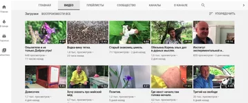 экрана от 2020-06-18 19-53-47.webp