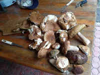 IMG-abd171fec46991cee28f94c70b06e73d-V.webp