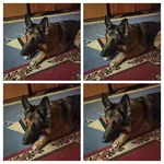 IMG_20200418_135933-COLLAGE.webp