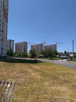 3_1.webp