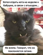 i.webp