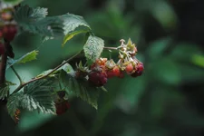 DSC_0634.jpg