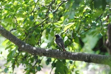 DSC_0654.webp