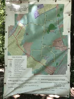IMG_7604.jpg