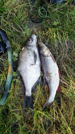 12072020.webp