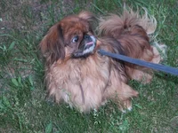 20150609_194910.webp