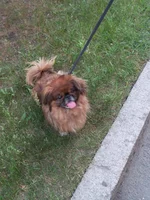 20150609_194942.webp