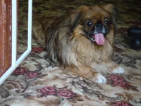 DSC01584.webp