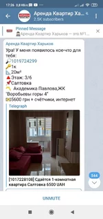 Screenshot_2020-07-19-17-26-00-138_org.telegram.messenger.webp