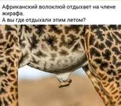 0-04-05-983f7c9b8bdd9721810626167fd8ab8b51db15a9bb527f5c2de5f1fa5ca198d7_c390a225.webp