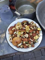 IMG-5fcae3d5cceb05d8cccd693d054092f3-V.webp