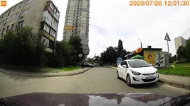 дятел.jpg