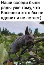 .webp
