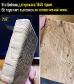 12312312321321321.webp