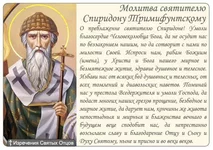 images (10).webp