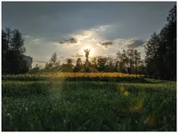PicsArt_05-01-04.31.51-01.jpg