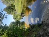 20200803_113904.jpg