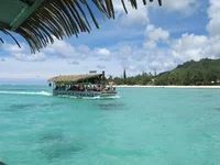 IMG_3985.jpg