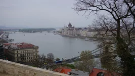 _1.webp