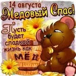  названия (4).webp
