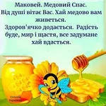  названия (5).webp
