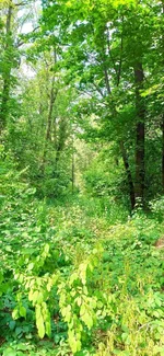 IMG_20200818_115356.webp