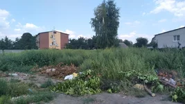 IMG_20200819_133022.webp