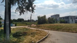 IMG_20200819_140606.jpg