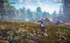  экрана (17).webp