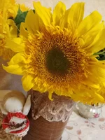 IMG_20180814_200701.webp