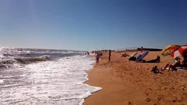 IMG-f4da074fac6258392ce782405c32c124-V.webp