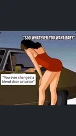 FB_IMG_15991174031522614.webp