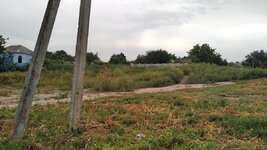IMG_20200904_103826.jpg