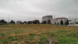 IMG_20200904_103830.jpg