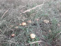 20200905_112508.webp
