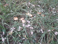 20200905_113049.jpg