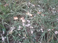 20200905_113049.webp