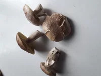 20200905_141737.jpg