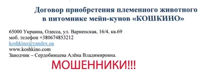 4.webp