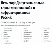 IMG_4457.webp
