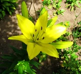 IMG_9747.JPG