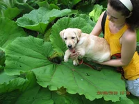  103.webp