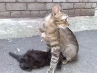 280620102355.webp