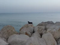 P1010247.webp